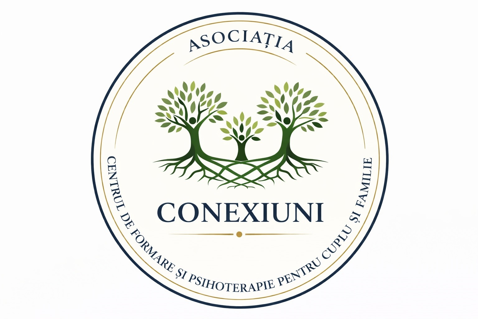 Asociatia Conexiuni